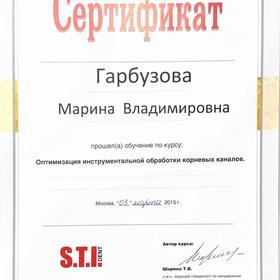 Оптимизация инструментальной обработки корневых каналов (S.T.I.dent, 2015)